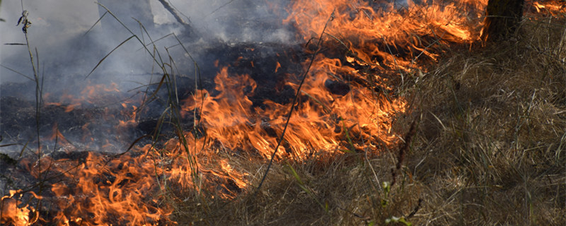 摄图网_307085383_森林里着火了森林垃圾中的火和烟森林里的草在燃烧森林火灾森林里着火了森林垃圾中的火和烟森林里的草在燃烧森林火灾（企业商用）1_副本.jpg