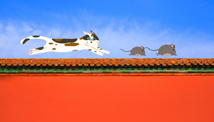 猫和老鼠2.jpg