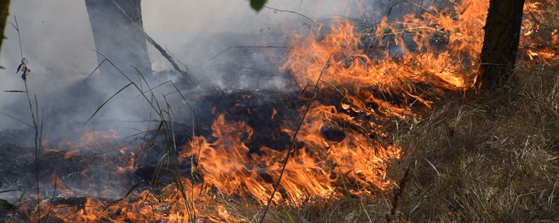 摄图网_307085383_森林里着火了森林垃圾中的火和烟森林里的草在燃烧森林火灾森林里着火了森林垃圾中的火和烟森林里的草在燃烧森林火灾（企业商用）_副本.jpg