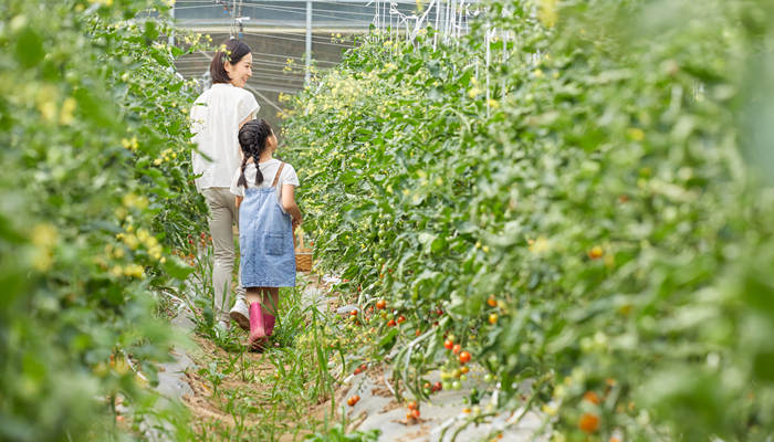 摄图网_501626099_妈妈和小女孩菜园采摘蔬菜背影（企业_副本.jpg