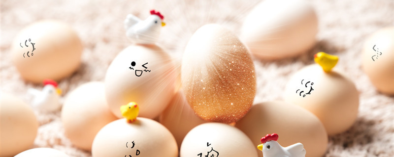 鸡蛋1.jpg